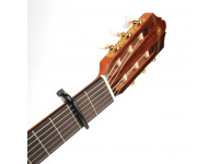 D´Addario PW-CP-04 D´Addario PW-CP-04